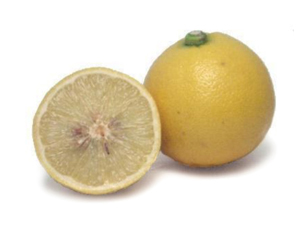 Bergamot